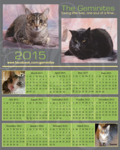 Special photo-calendar for the Geminites -  A non-profit rescue for disabled cats