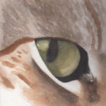 2021 Close-up of Kitty Eye - watercolor